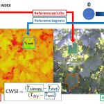 Analisi e monitoraggio della vite e delle uve