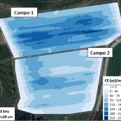 Mappa di conducibilit elettrica dei suoli - spessore del suolo : 0-20 cm