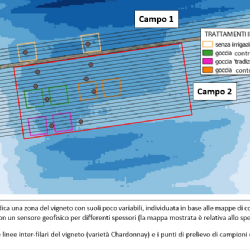 Localizzazione delle parcelle sperimentali