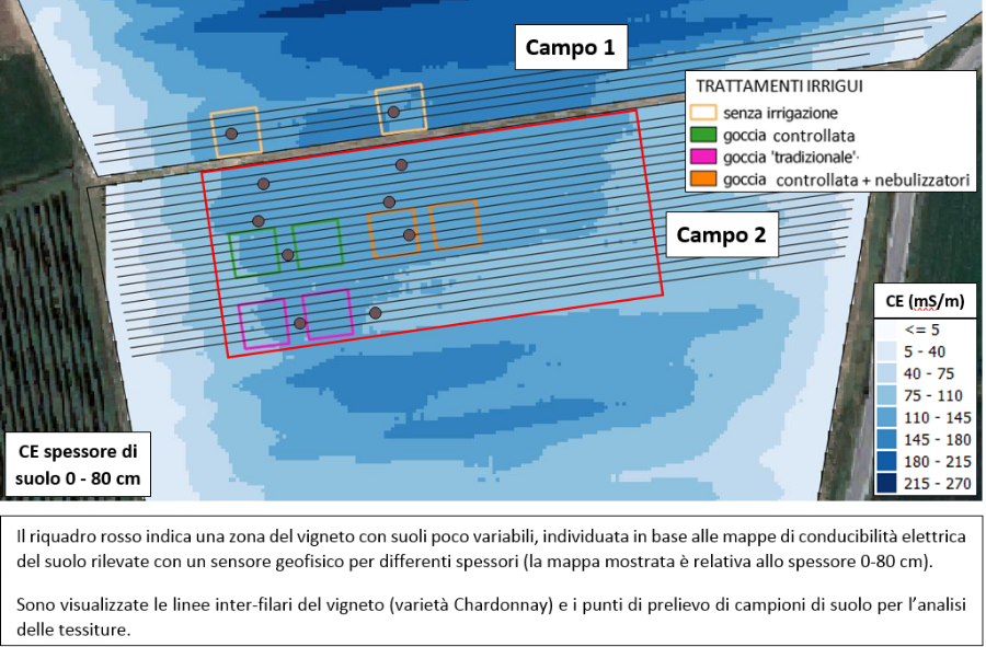 Localizzazione delle parcelle sperimentali