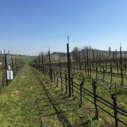 Panoramica di impianto dirrigazione e centralina di monitoraggio interna ai filari