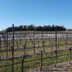Risultato della climatizzazione