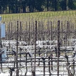 Risultato della climatizzazione