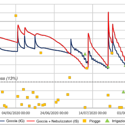 Andamenti di umidità del suolo misurata a 65 cm nelle parcelle gestite con irrigazione a goccia (IG) e con irrigazione a goccia associata a nebulizzatori (IS) nel periodo 15 Maggio – 15 Agosto 2020