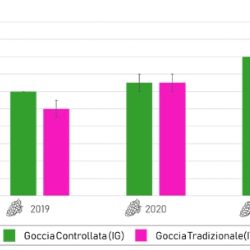 Figura2 Peso medio del grappolo relativo alla gestione sperimentale (IG) e a quella tradizionale (IT), durante le stagioni colturali 2019, 2020 e 2021.