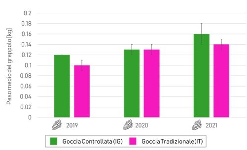 Figura2 Peso medio del grappolo relativo alla gestione sperimentale (IG) e a quella tradizionale (IT), durante le stagioni colturali 2019, 2020 e 2021.