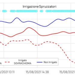 Figura 3 Andamenti di temperatura nelle parcelle irrigate con nebulizzatori sovrachioma e sottochioma e nella tesi non irrigata, registrati durante la giornata del 15 Agosto 2021