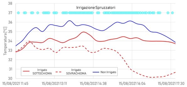 Figura 3 Andamenti di temperatura nelle parcelle irrigate con nebulizzatori sovrachioma e sottochioma e nella tesi non irrigata, registrati durante la giornata del 15 Agosto 2021